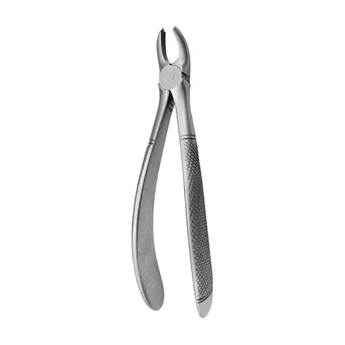 Forceps Pequeñas N39A MOLARES Derecha. COVETRUS