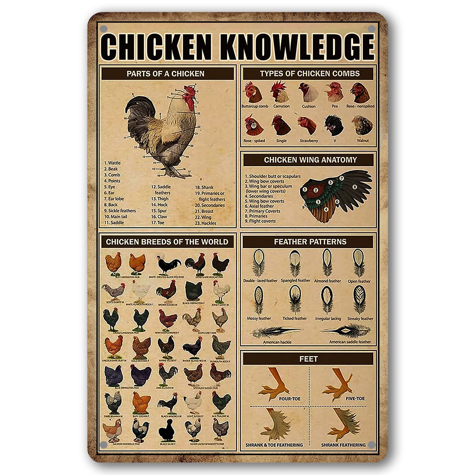 Chicken Knowledge Metall Blechschild Hühnerstall Schilder Wanddekoration Rassen von Hühnern Retro Bauernhof Huhn Schilder für Stall Lustige Outdoor Dekorationen Teile von Hühnerflügel Anatomie Arten Kämme Federmuster