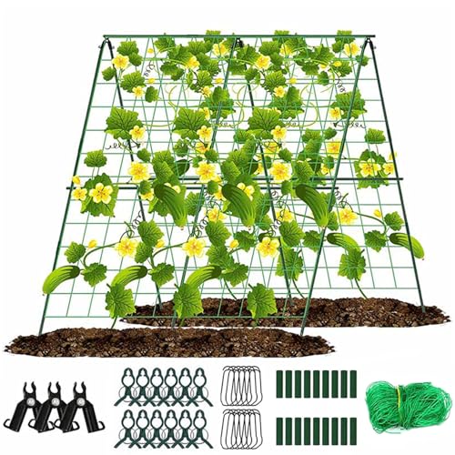 Gurkenschleuder für erhöhtes Bett 48x48garden -Gitter faltbar Ein Rahmen Gitter abnehmbarer Pflanzenunterstützung Trellis Outdoor Gartenbedarf