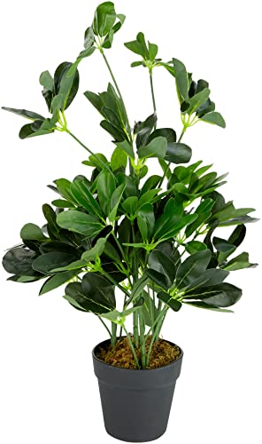 Künstlicher Schefflera Arboricola Regenschirm, 55 cm, schwarzer Kunststoff-Topf, dunkelgrüne Pflanze