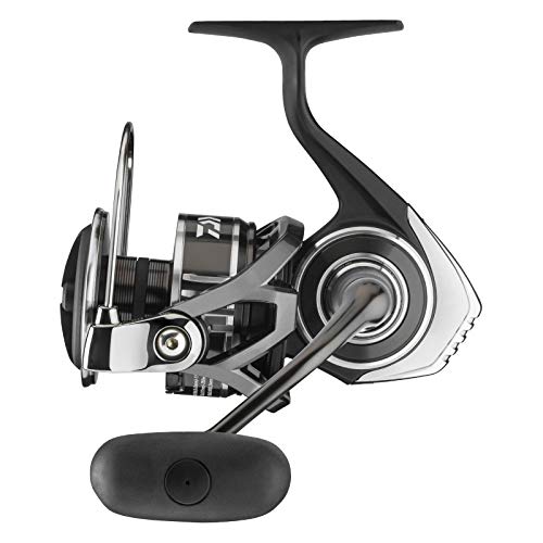 Daiwa BG MQ 20000 Meeresrolle