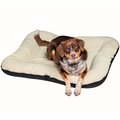 E-dogbed Strapazierfähiges Hundebett aus Kunstleder Hundematratze Ella Hundesofa Hundekissen Hundematratze Hundeliege Tierkissen Farbe und Größe wählbar von M bis XL (M - 90x70 cm, Cappuccino)