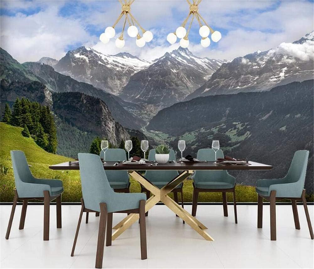 Verschneite Berge Bäume Wiesen 3D Tapete Poster Restaurant Schlafzimmer Wohnzimmer Sofa TV Dekorative Wand-250cm×170cm