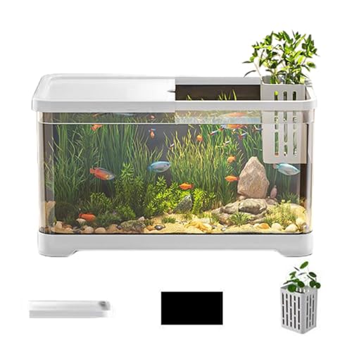 Kleines Aquarium, Salzwasser-Aquarium, Fisch-Starter-Set, durchsichtig, rechteckig, mit Korb, kleines Aquarium für Quallen, Guppy, Garnelen, Goldfsh