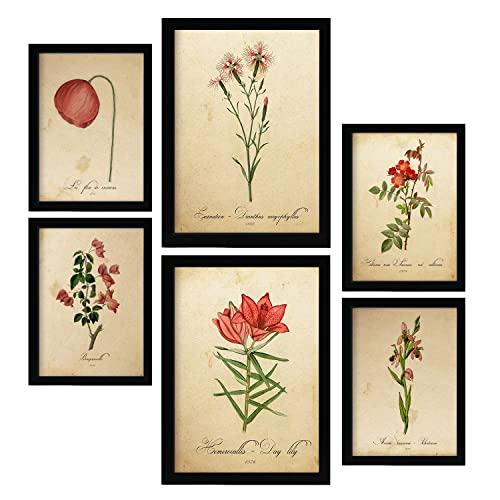 Nacnic Rote Blumen Postern. Vollfarbige Natur- und Botanikdrucke mit Blumenmotiven im Vintage Papier Stil. Innenarchitektur und Dekoration. A4 & A3.