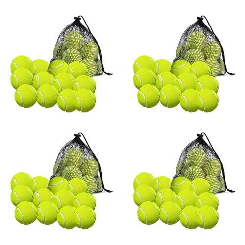 SICOSALT 48 Pack Tennis BäLle mit Tasche Zur Aufbewahrung - Gute QualitäT, Dickwandige Tennis BäLle - Perfekt für Tennis und Cricket