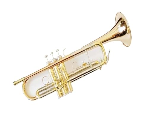 Standard Trompete Phosphorbronze Horn Trompete Blasinstrument Mittelstufe Trompete exquisite Trompete in B-Dur