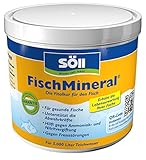 Söll 82717 FischMineral, 500 g - Vitalkur für Teichfische - Fischpflegemittel entgiftet, neutralisiert, optimiert Wasser mit lebenswichtigen Mineralien - vitale Fische im Fischteich, Gartenteich, Koiteich