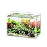 Aquarium, Neu Ultra Klar Glas Beheizten Gebogene Handwerk Desktop Kleine Aquarium Schildkröte Tank für