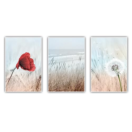 CanvasArts 3er Bilder Set - Poster ohne Rahmen - Pusteblume Mohnblume Gras Stimmung Warm Wohnzimmer Schlafzimmer Esszimmer (40 x 30 cm, Poster, Mohnblume)