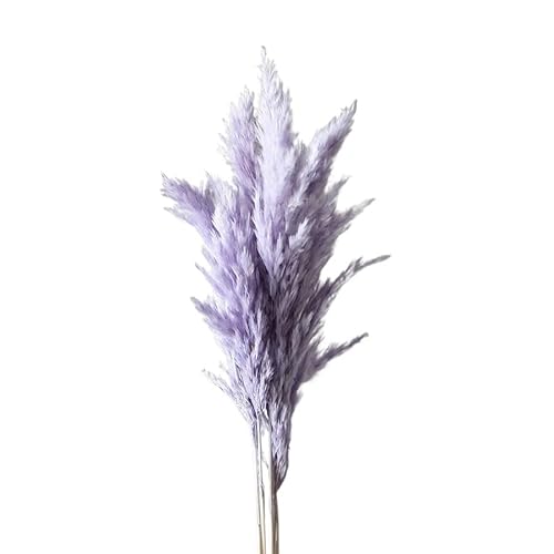 Pampasgras Deko 45cm Natural Fluffy Pampas Dried Real Multi Color Luxury Pampas Grasses Bouquet Wedding Party Home Indoor Decor Photo Props Trockenblumen(Lavender,8-10pcs)