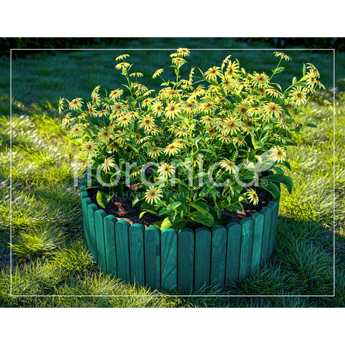 Floranica Beeteinfassung »Rollborder«, Kiefernholz, HxL: 20 x 203 cm - gruen 5