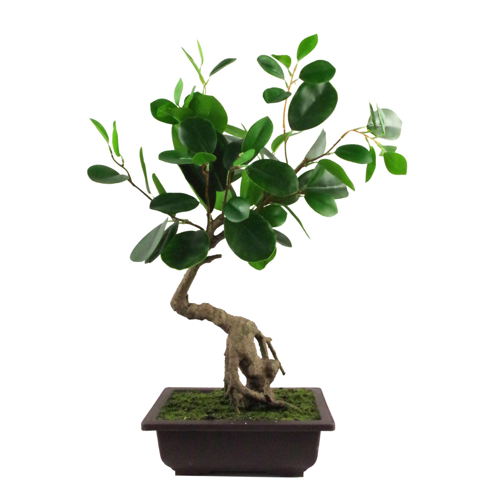 Leaf Künstlicher Baum, Kunststoff, Ficus Bonsai, Abgerundet, 50 cm