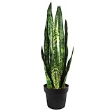 Leaf Kunstpflanze, Blätter, 70 cm, Kunststoff, Zeylanica Sansevieria