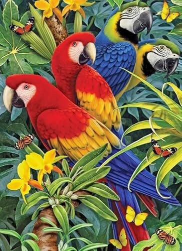 HfmQuisutron Jigsaw Puzzle 1000 Teile Ölgemälde Tier Vogel Poster Farbe Fähigkeit Spiel Für Die Ganze Familie Erwachsene Zq14Wk