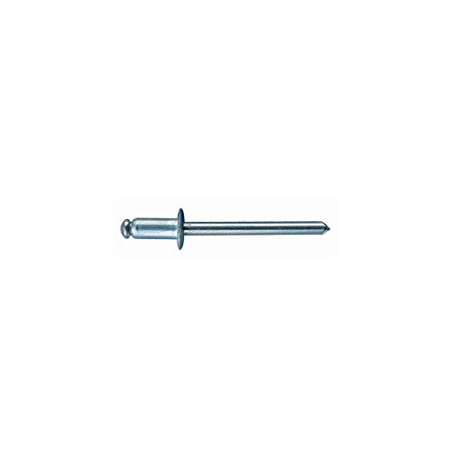 Index rein4810 – genietet Inox A2 Kopf alomada Inox 304/Inox 304 4,8 x 10,8