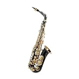 Gold lackiertes saxophon Eb Altsaxophon Messing lackiert Gold mit Tragetasche Handschuhe Riemen Pinsel von Sax Zubehör(Gold)