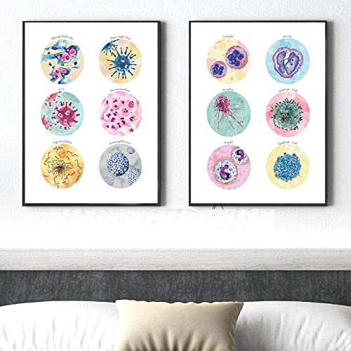 Mikrobiologie Bakterien Mikrobe Gemäldedruck Medizin Poster Wissenschaft Wand Bilder Leinwand Bild Bild Abwehrzellen Biologie Studie BüRo Dekor Rahmenlos-30×40cm×2pcs