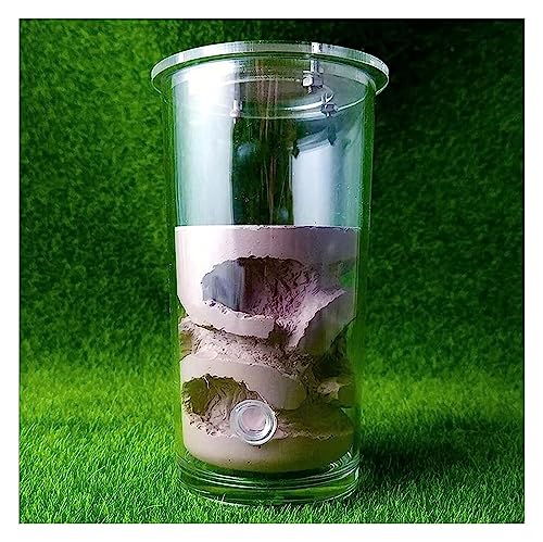 Ameisenzuchtnest, Ameisenfarm aus natürlichem Sand, becherförmige Ameisenfarm und Ameisennestbecher aus Gips, Haustierhaus, Reptilien-Terrarium, Insektenzubehör (Farbe: Rosa 67 x 130 mm) (Farbe: Braun