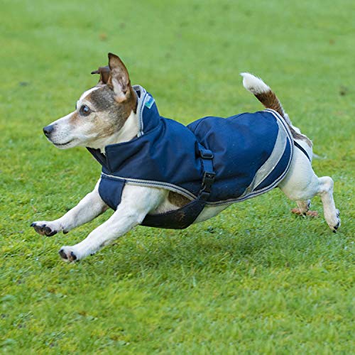 Bucas Freedom Hundedecke 50, navy