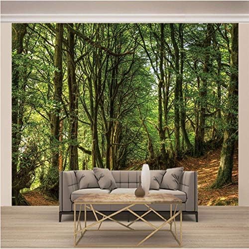 XLMING Grüner Wald Bilder 3D Tapeten Home Esszimmer Sofa Schlafzimmer Wohnzimmer TV Hintergrund-250cm×170cm