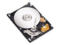 Seagate Momentus 5400.3 ST9160821A