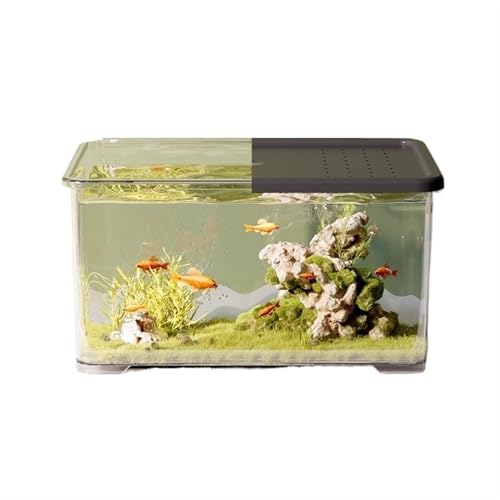 Aquarium, Transparentes Acryl mit Schiebedeckel, kleines Wohnzimmer, Schreibtisch, Büro, Dekoration, Schildkrötenbecken, Fischglas(Black)