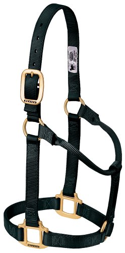 Weaver Leather Original Non-Adjustable Nylon Horse Halter, Small, Black