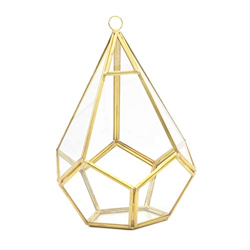 FUXIU Fünfseitiges Rhombus-Glasregal, geometrisches Sukkulenten-Terrarium, geeignet für Desktop-Dekoration, großer transparenter Moos-Übertopf