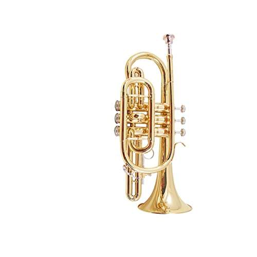 Cornet Instrument BB Tuning Wind Instrument Anfänger Orchester Leistung Allgemein