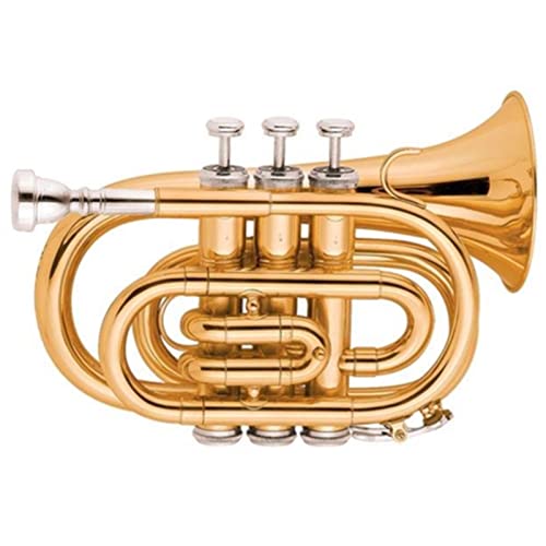 ZENGXUE Goldlack Ton BB Pocket Trompete Standard-Trompetenset