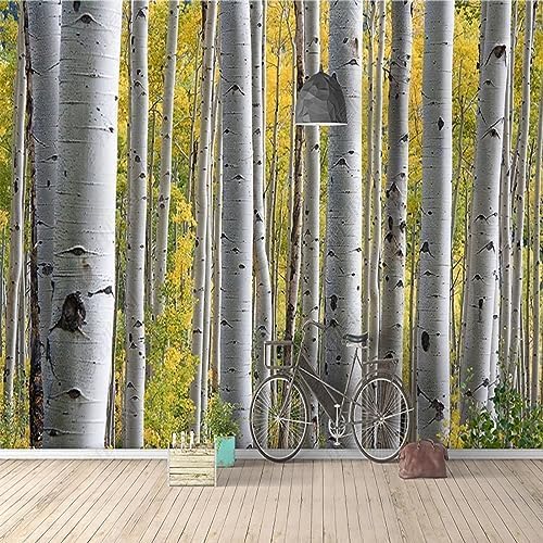 XLMING Natur Landschaften Abstrakt Birke Wald Sonnenschein 3D Tapete Home Dekoration Wohnzimmer Sofa Schlafzimmer Tv Hintergrund Wand-250cm×170cm