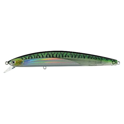 Daiwa DSPM15S25 Salt Pro Minnow Sinking Makrele, 15,2 cm/1 1/4 oz, grün