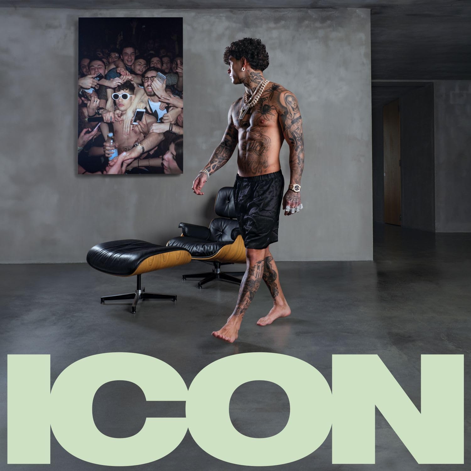 Icon [Vinyl LP]