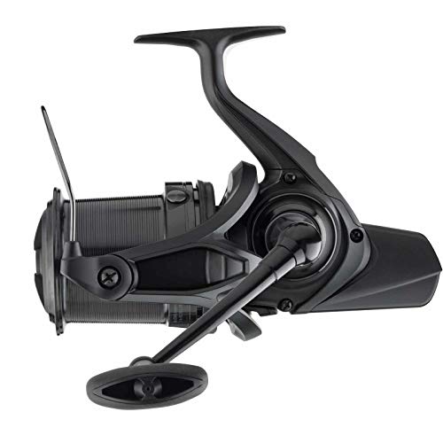 Daiwa 19 Emblem 45 SCW QD Big Pit Karpfenrolle