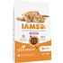 IAMS Advanced Nutrition Hairball mit Huhn - 10 kg