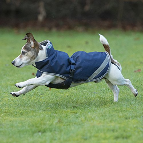 Freedom Dog Rug 300g, Navy/silver (75)