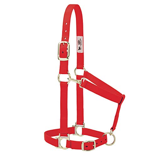 Weaver Leather Basic Adjustable Nylon Halter, Red, 1" Small Horse