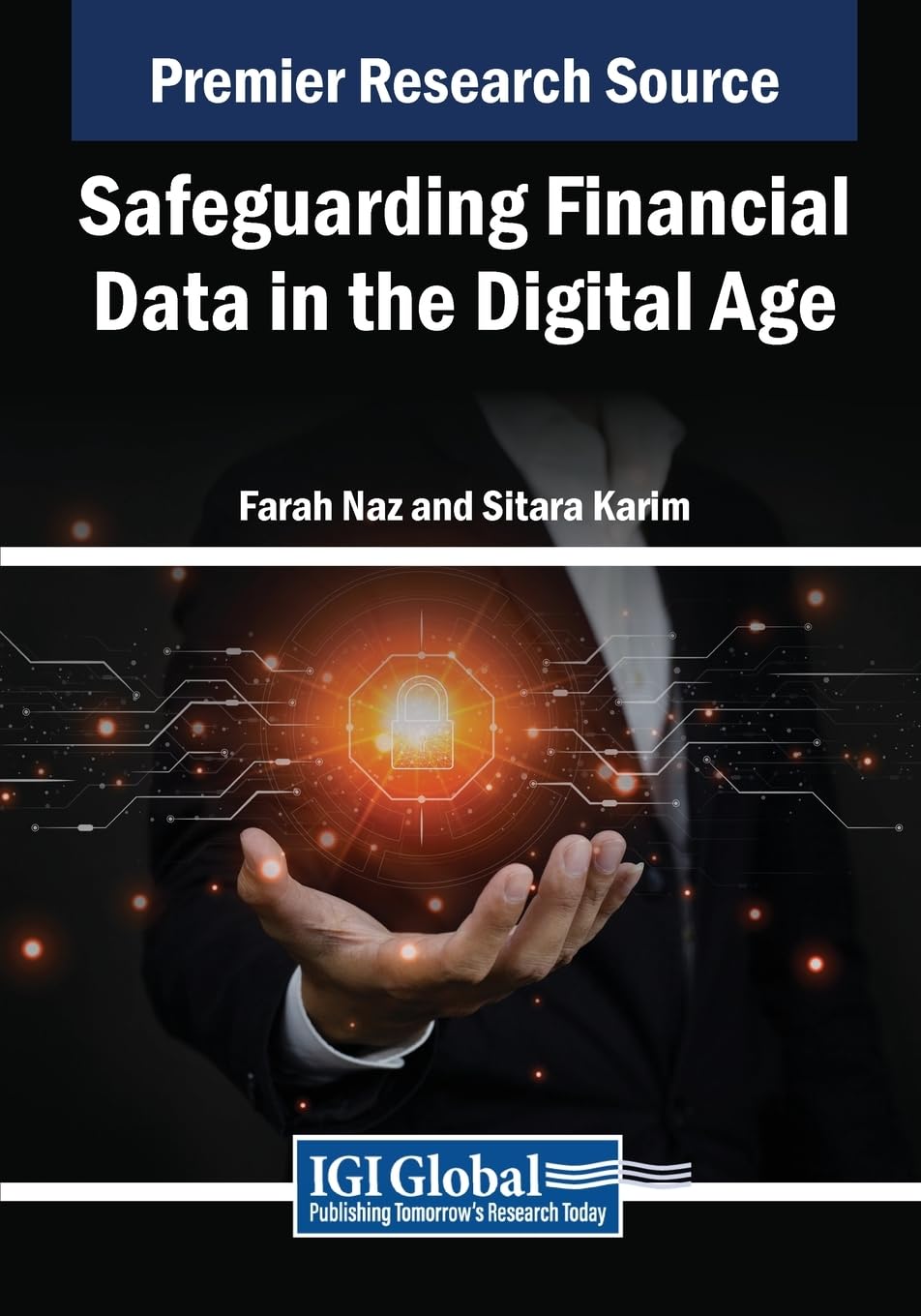 Safeguarding Financial Data in the Digital Age (Advances in Finance, Accounting, and Economics)