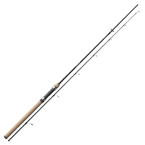 Daiwa Lexa Spinning 2.40m 5-20g Spinnrute