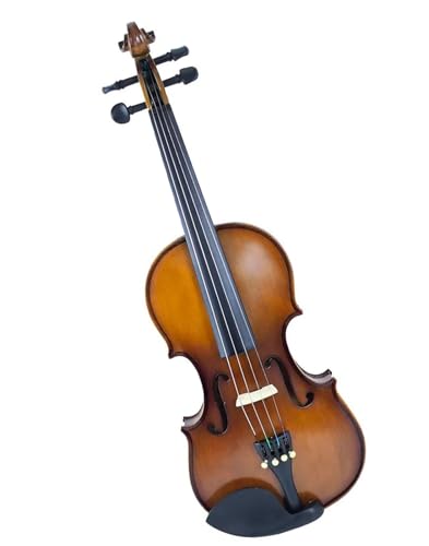 Standard Violine Violine Natur Ahorn Fichtenholz 1/8 Seite Mit Etui