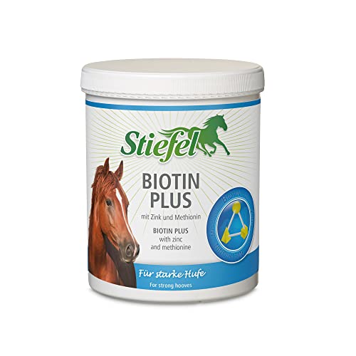 Stiefel Biotin H Pellet 1 kg