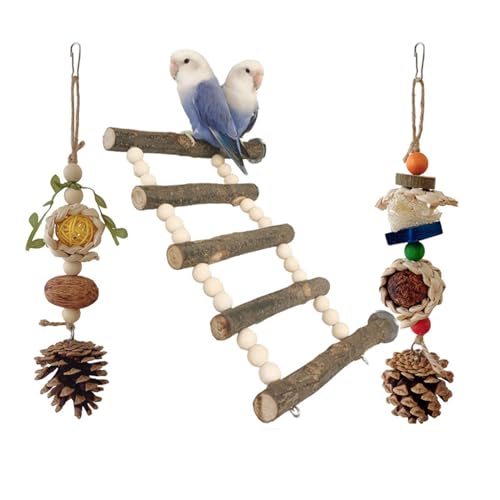 Pet Bird Climbing Toy Set For Birds Pet Climbing Decoration Swing Training Barch Parrots Cage Toy Gym Chew Toy Playstand