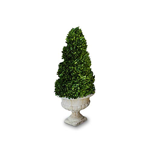 LOBERON® Deko-Baum Humbria, Buchsbaum, Terrakotta, H/Ø 75/30 cm, grün/Creme, grün/Creme