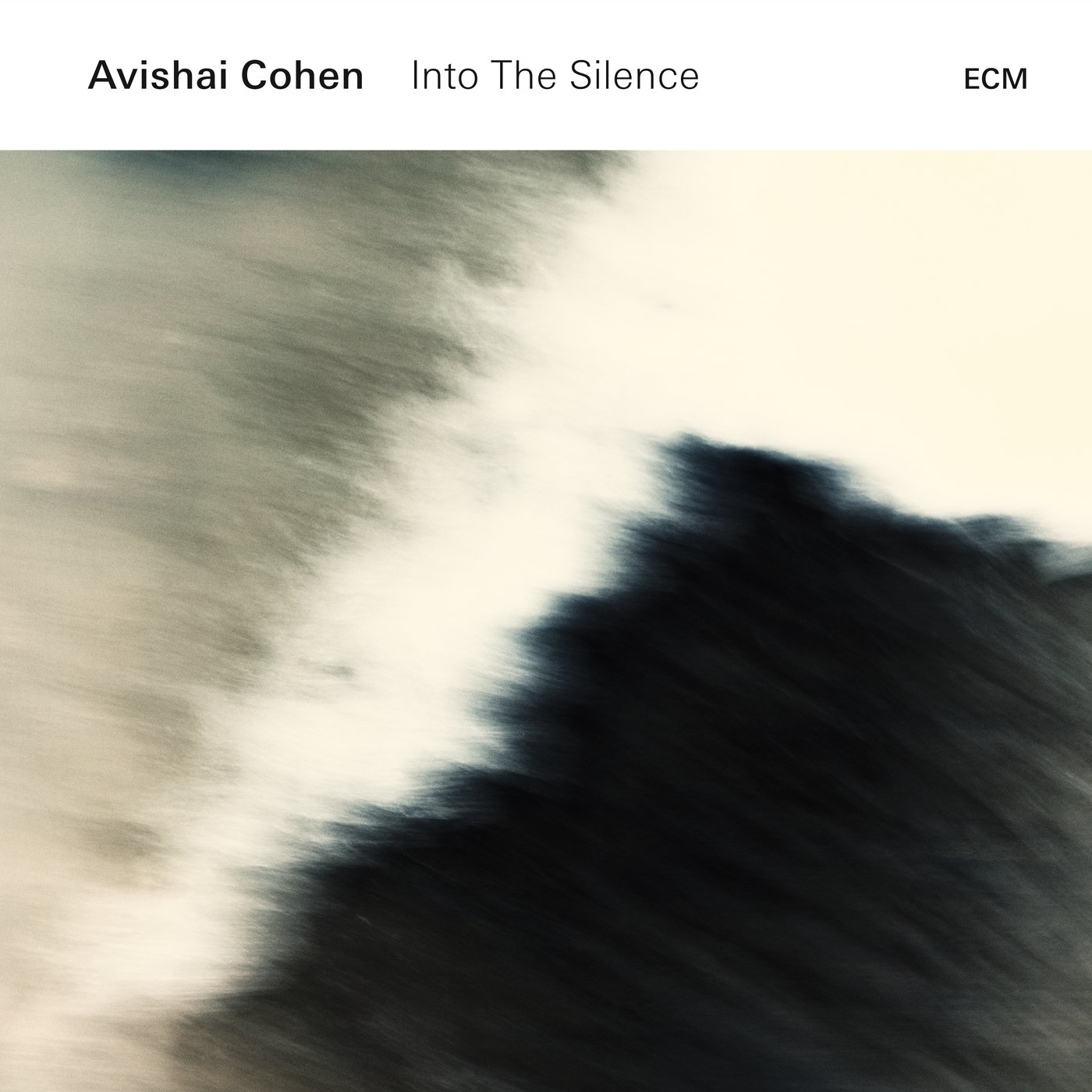 Into The Silence [Vinyl LP]