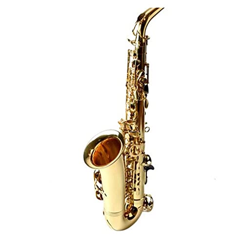 Altsaxophon EB Tune Messing Music Instrument Gold Lackoberfläche E- Flat Sax Mit Fallzubehör (Color : PU Leather Case)