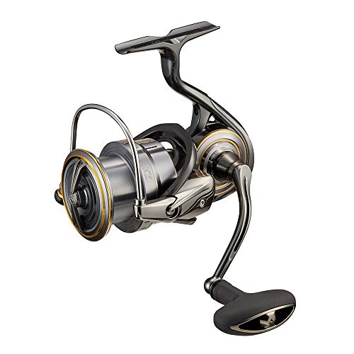 Daiwa 21 Luvias Airity LT4000-C - Rolle Spinnrolle, Angelrolle zum Fischen auf Zander & Hechte, Raubfischrolle zum Kunstköderangeln