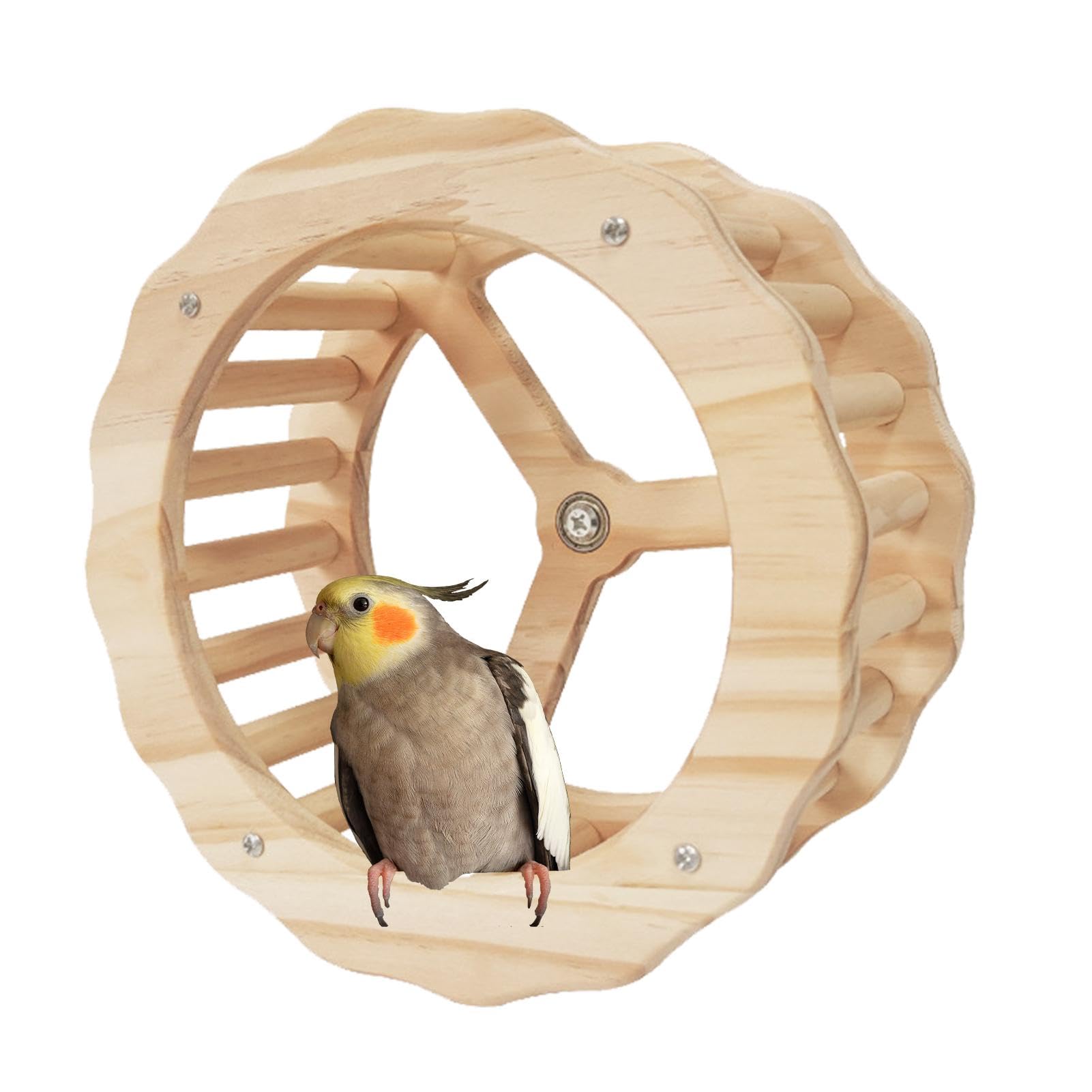 Takluu Sittich-Übungsrad, Papageien-Übungsrad, Spinner-Laufräder für Bird, Übungsräder aus Holz für Papageien, Sittiche, Sittiche, Nymphensittiche, Wellensittiche, zum Kauen des Schnabels