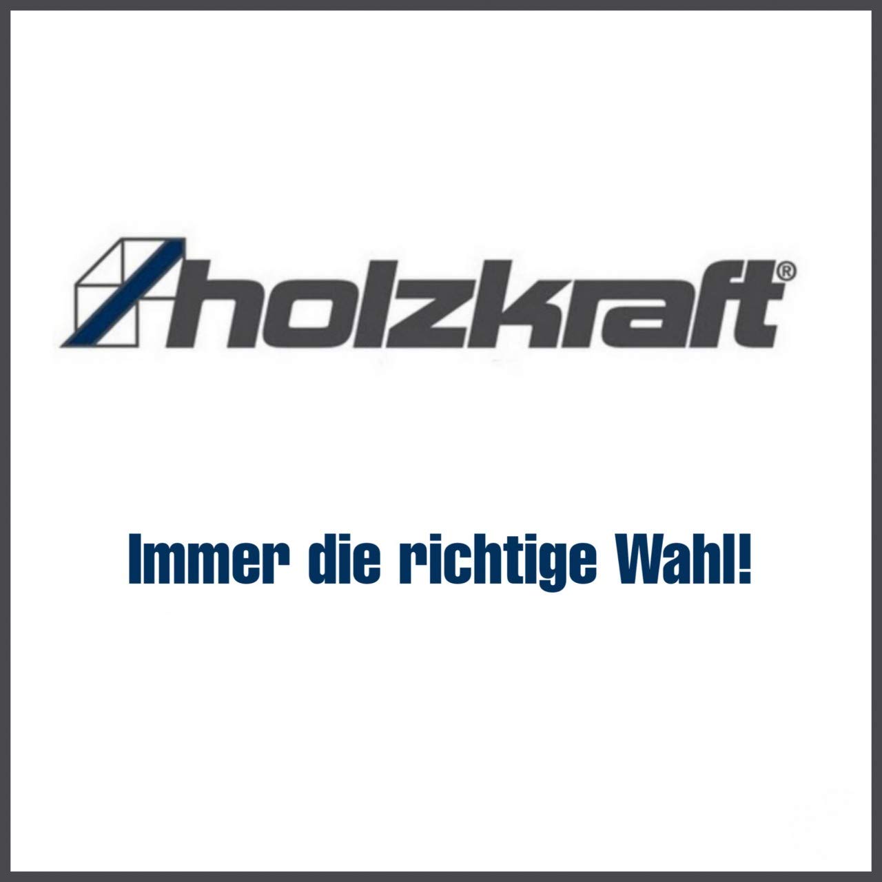 Holzkraft Filterkassette 3,9 m², 5141606