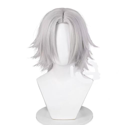 WCCNKK Anime Cosplay Perücke, Gokudera Hayato Perücke, Graue Kurze Haare, Mit Perückenkappe, Für Party Alltag Halloween Perücke, Anime-Geschenke, Dekorative Accessoires